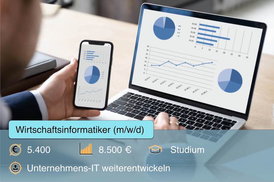 Wirtschaftsinformatiker
