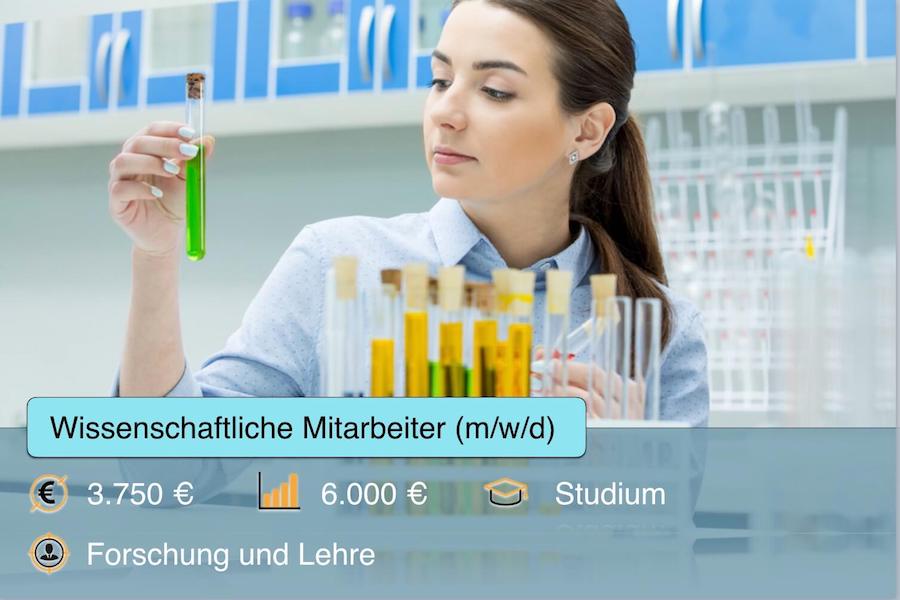 Wissenschaftliche Mitarbeiter