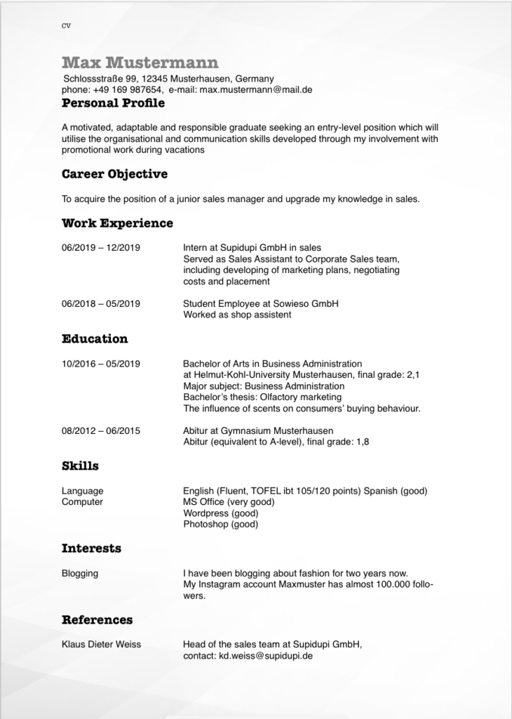 Amerikanischer Lebenslauf Resume Example